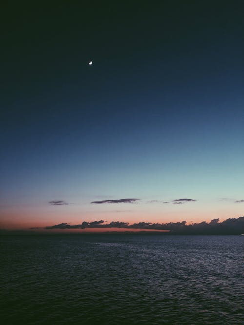 Δωρεάν στοκ φωτογραφιών με queensland, shorncliffe pier, αέρας