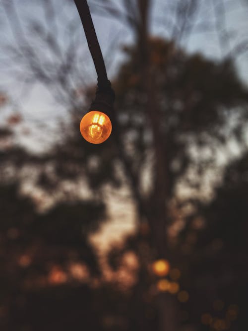 Free Orange Light Bulb Stock Photo
