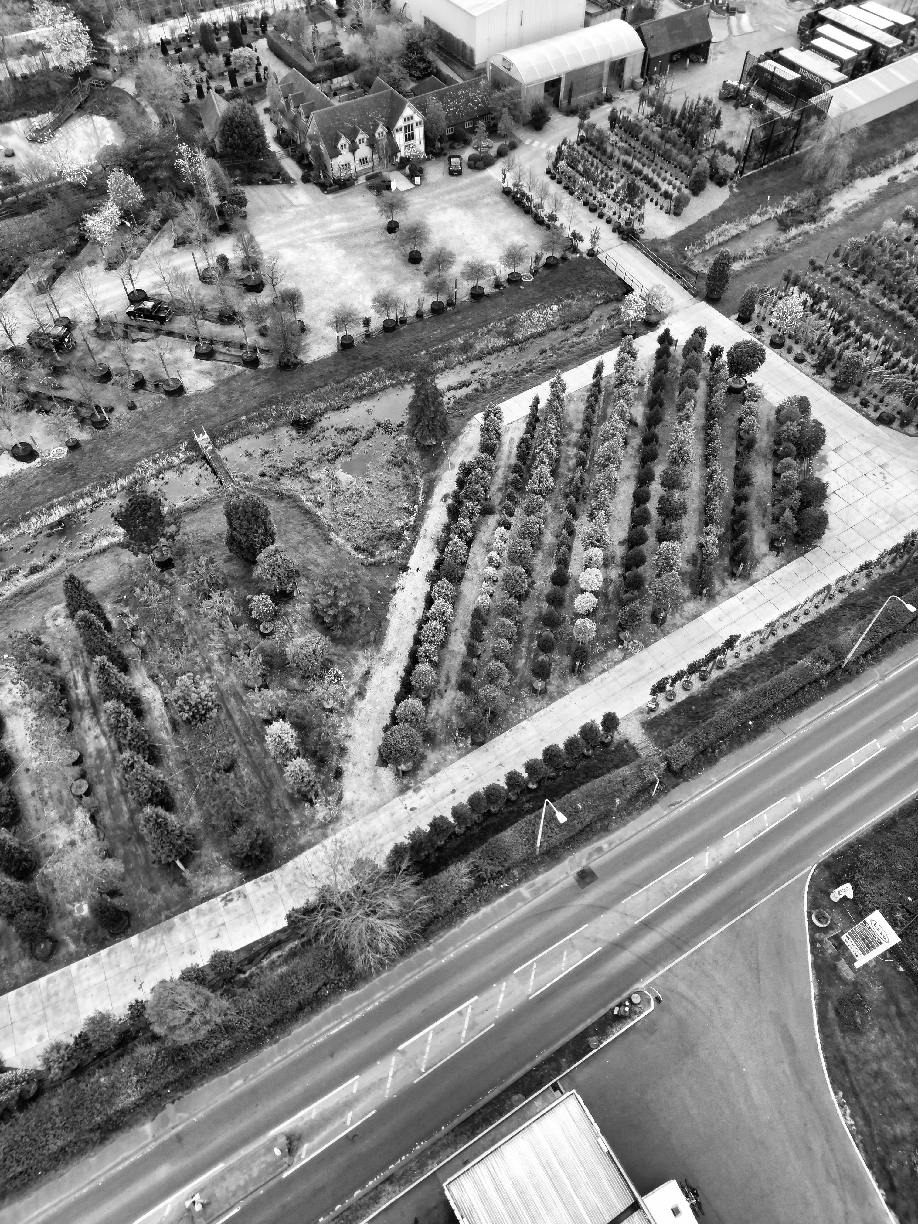 Tree Planting - Planning