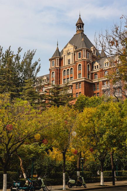 Charming red brick building with trees in autumn, ideal for architecture lovers.