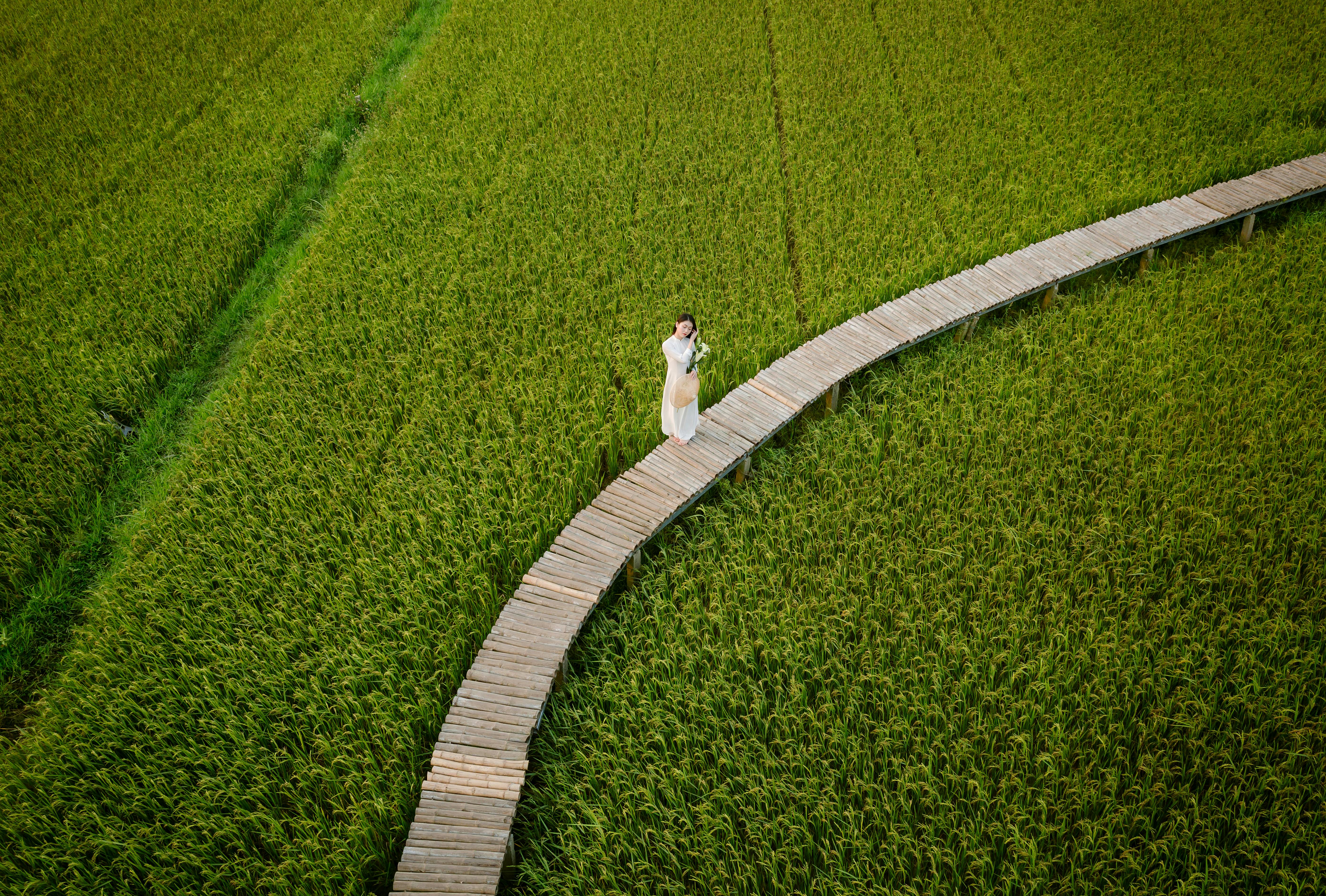 A woman in a white dress stands on a curved wooden path through a lush green field.