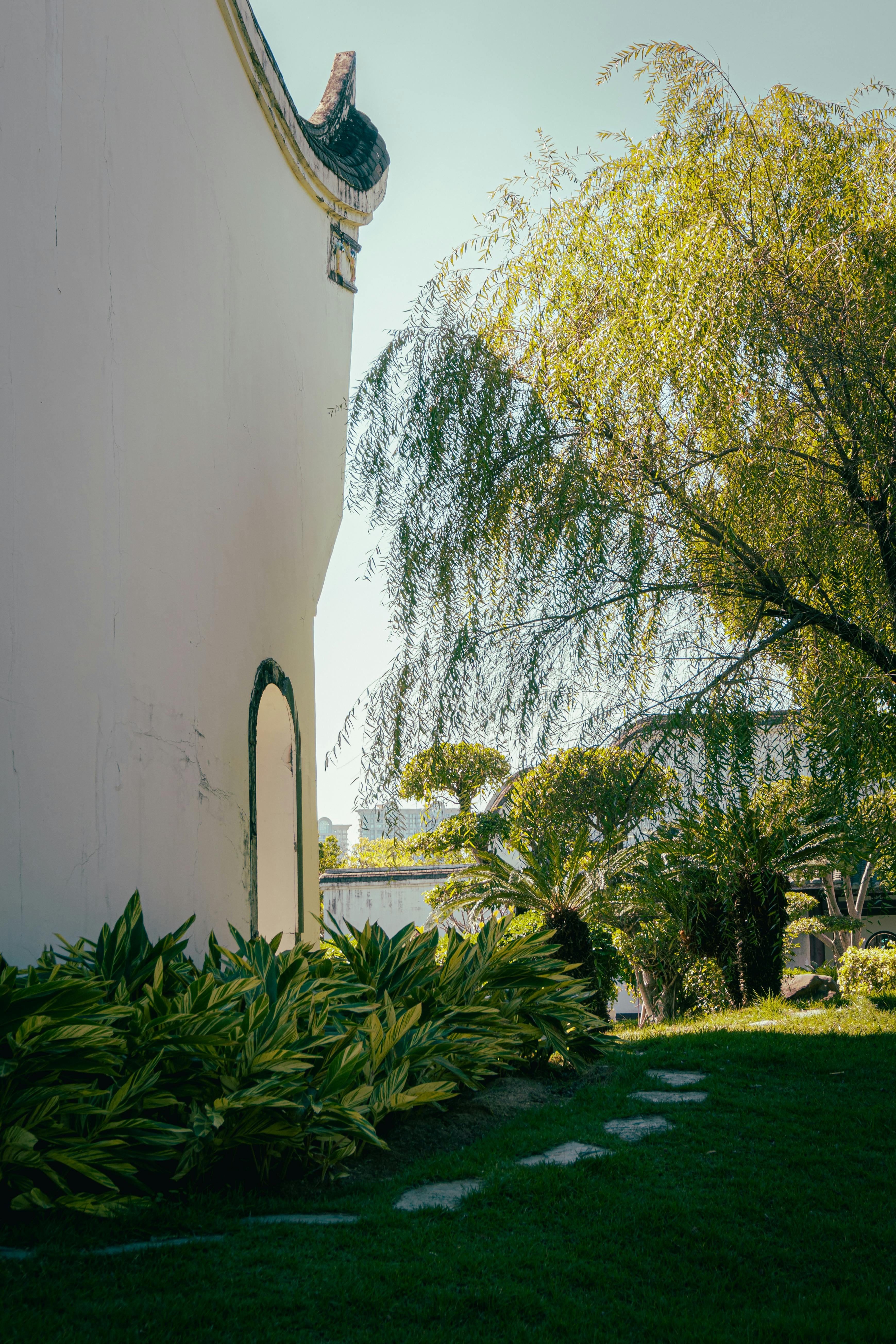 Peaceful garden scene with white wall, lush greenery, and sunlight filtering through trees.