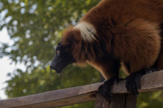 Isalo National Park hike — Madagascar