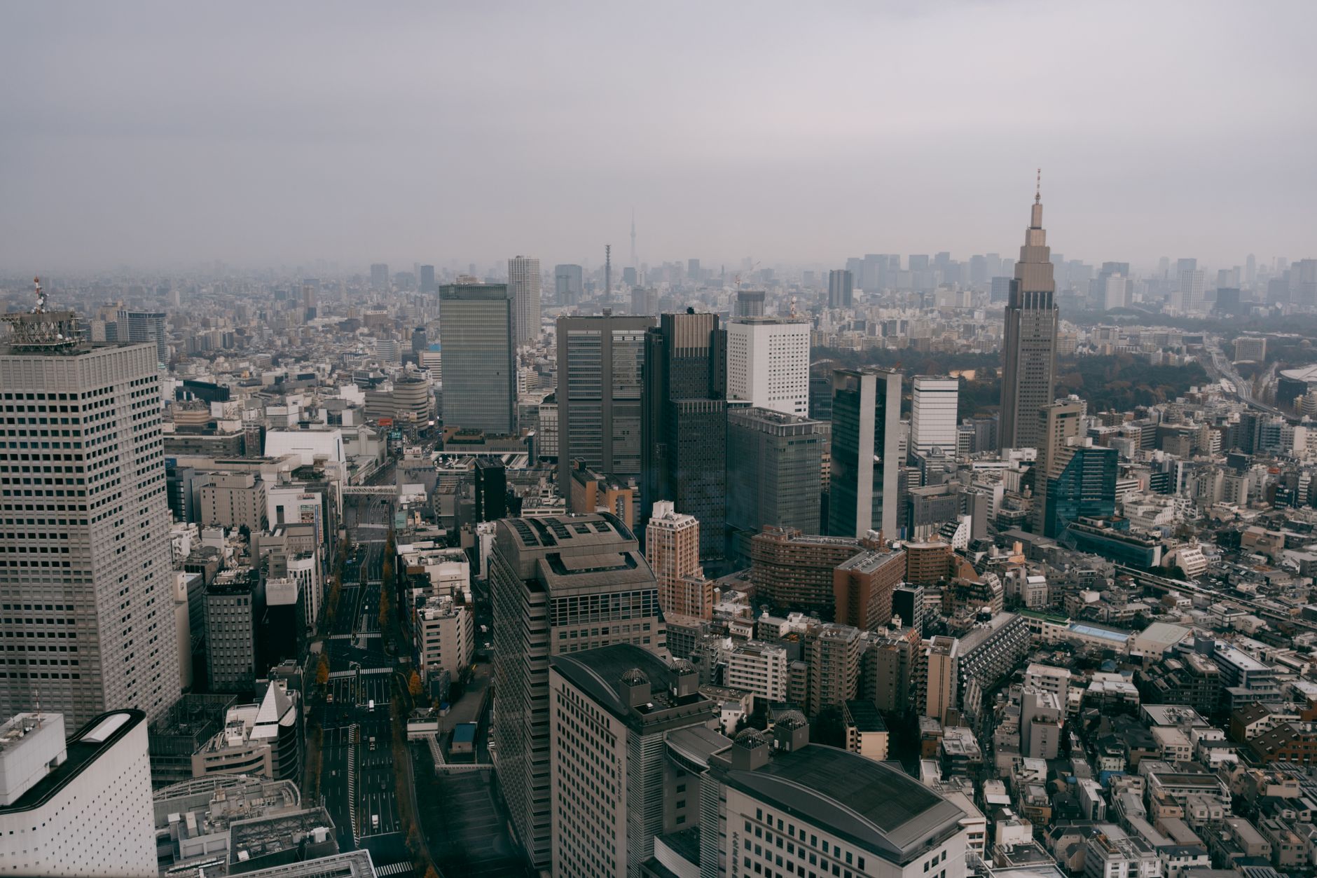 West side: skyscrapers and a free view