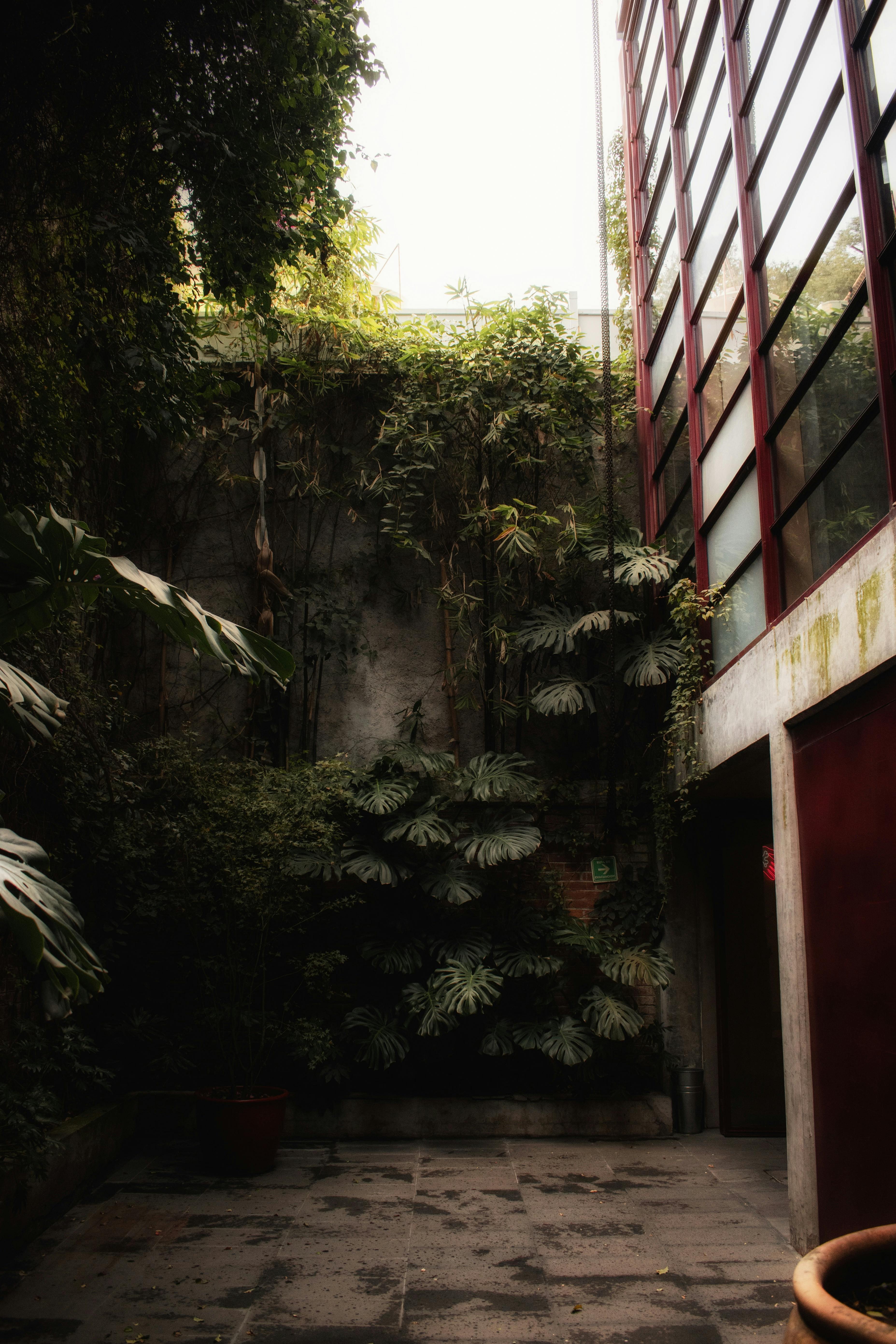 Perdana Botanical Garden A Lush Escape in the City