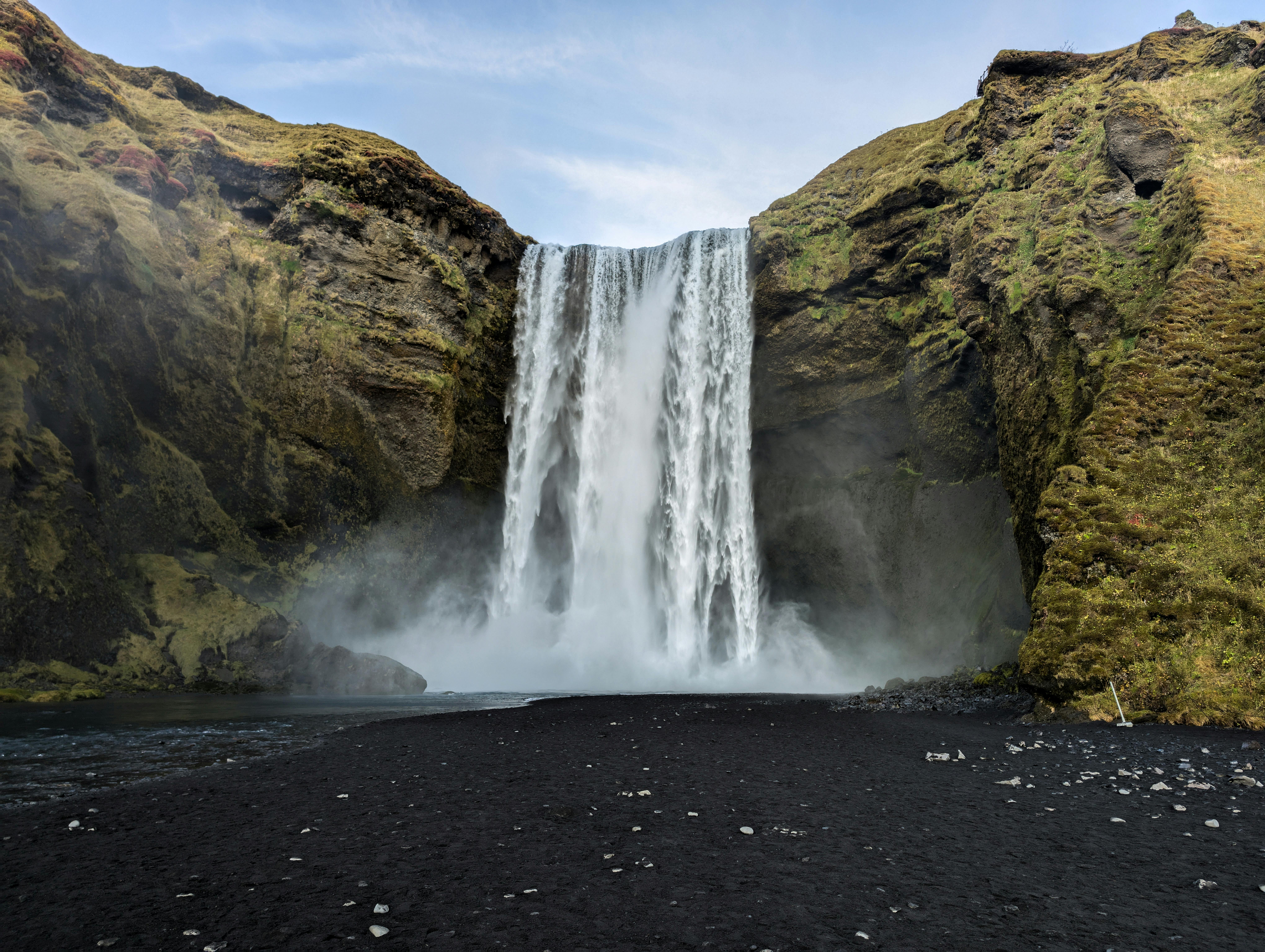 Sustainable Living: Reducing Your Carbon Footprint Can Benefit Your Gut Microbiome