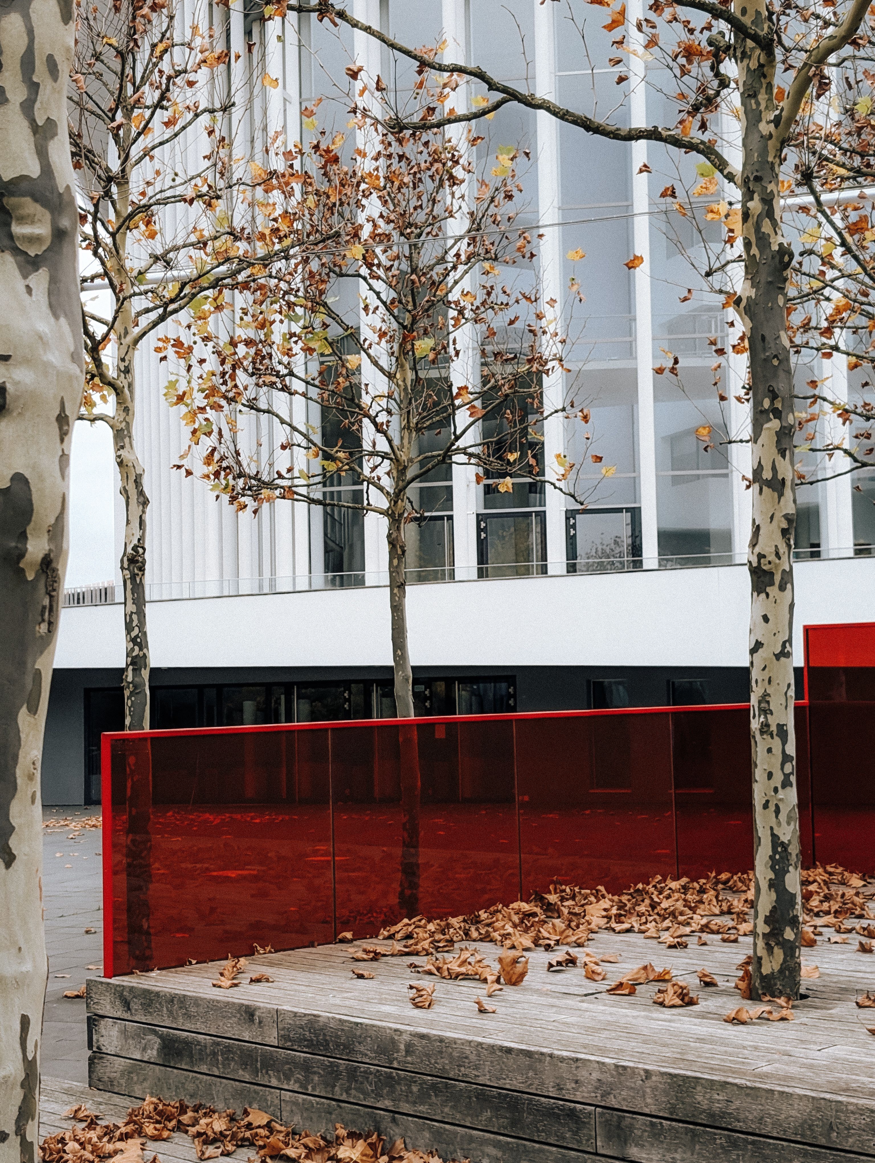 Luxembourg urban autumn scene with modern architecture · Free Stock Photo