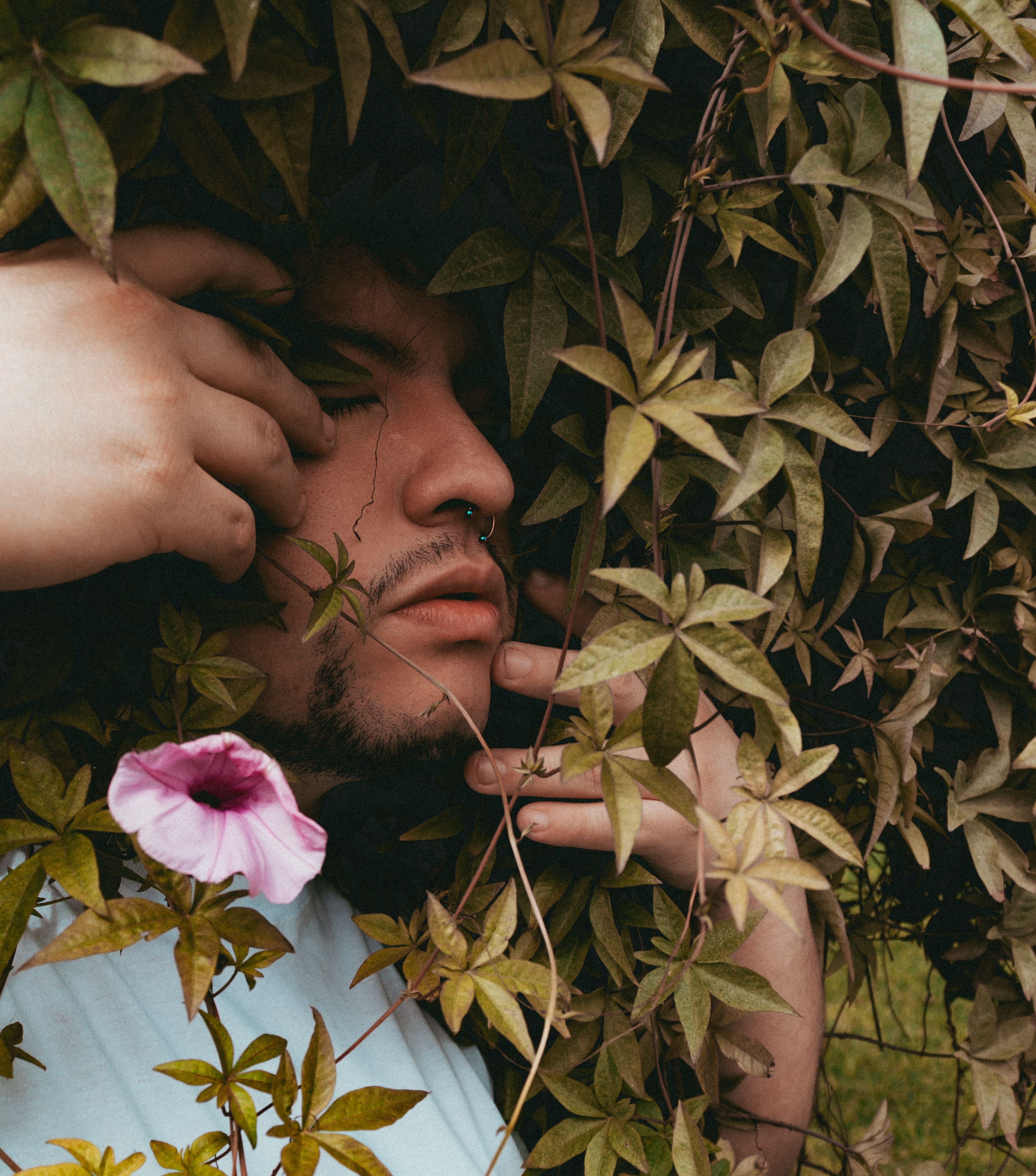 Portrait of Man Immersed in Lush Foliage · Free Stock Photo