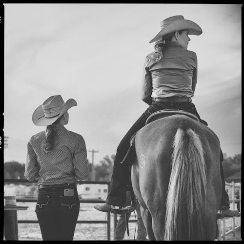 Ilmainen kuvapankkikuva tunnisteilla cowboyhattu, cowgirl, hevonen