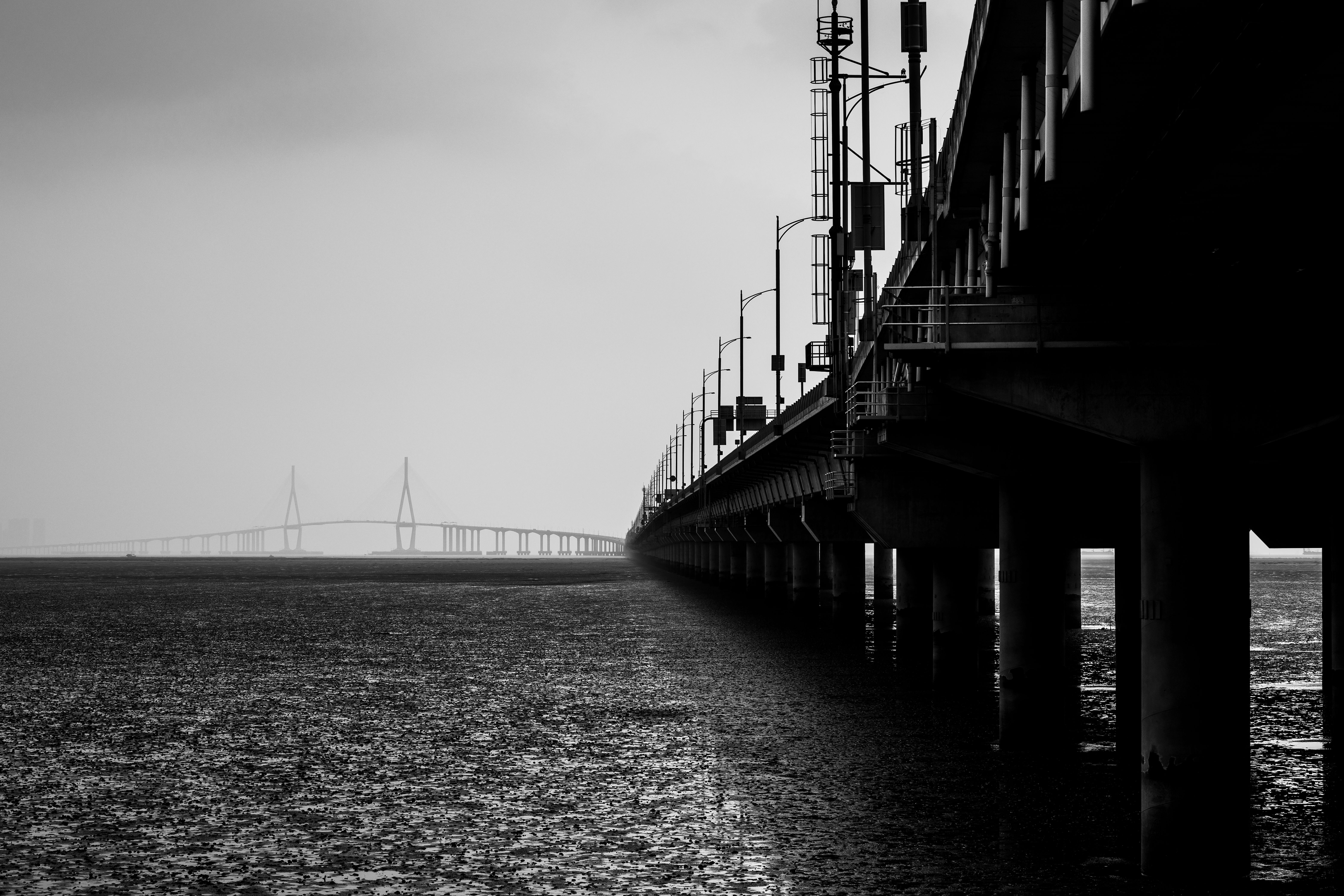 Charles Schwab Foundation supports new financial planning option — Photo by 정규송 Nui MALAMA on Pexels