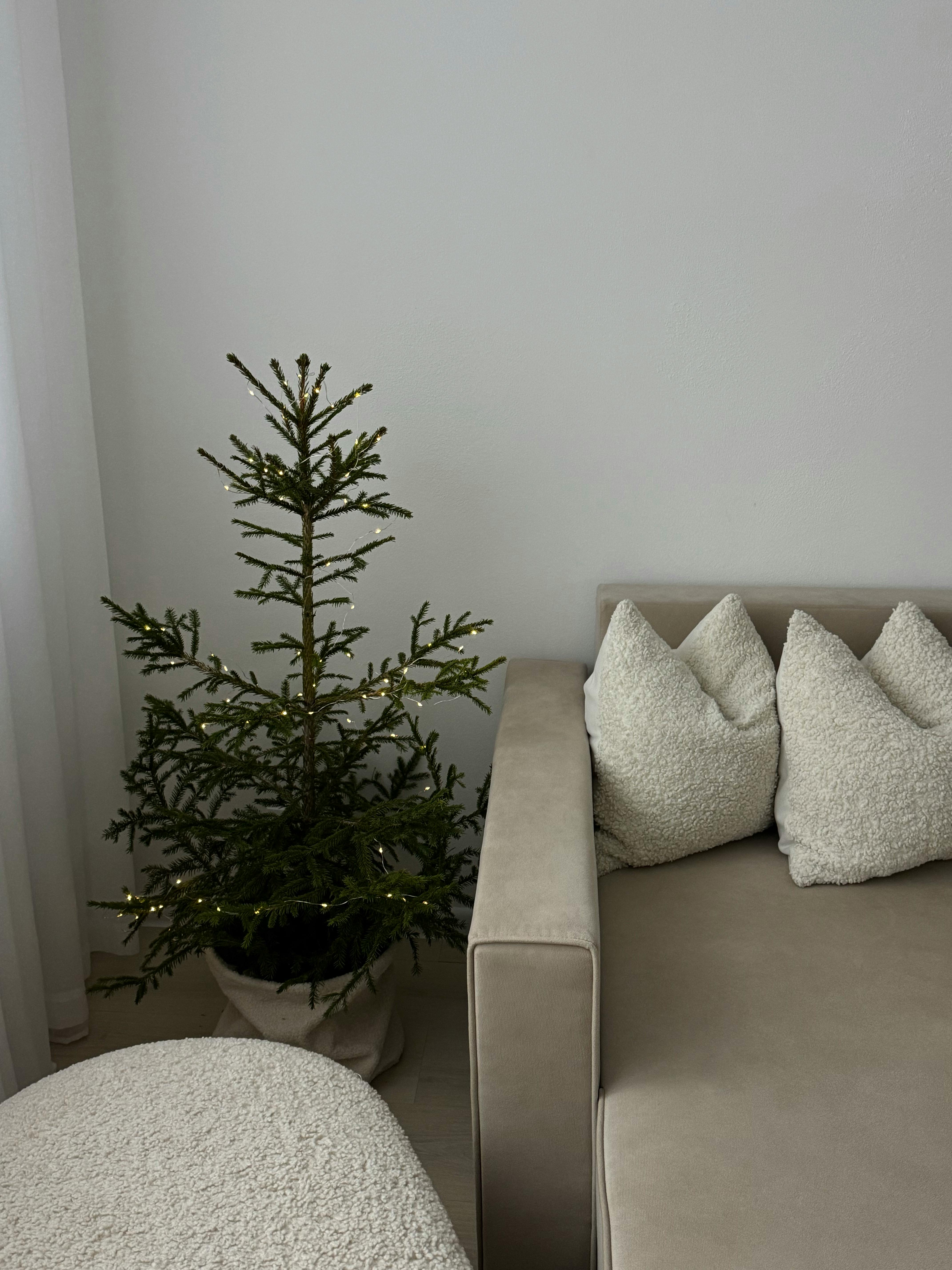 A simple Christmas tree with lights in a cozy, neutral-themed living room.