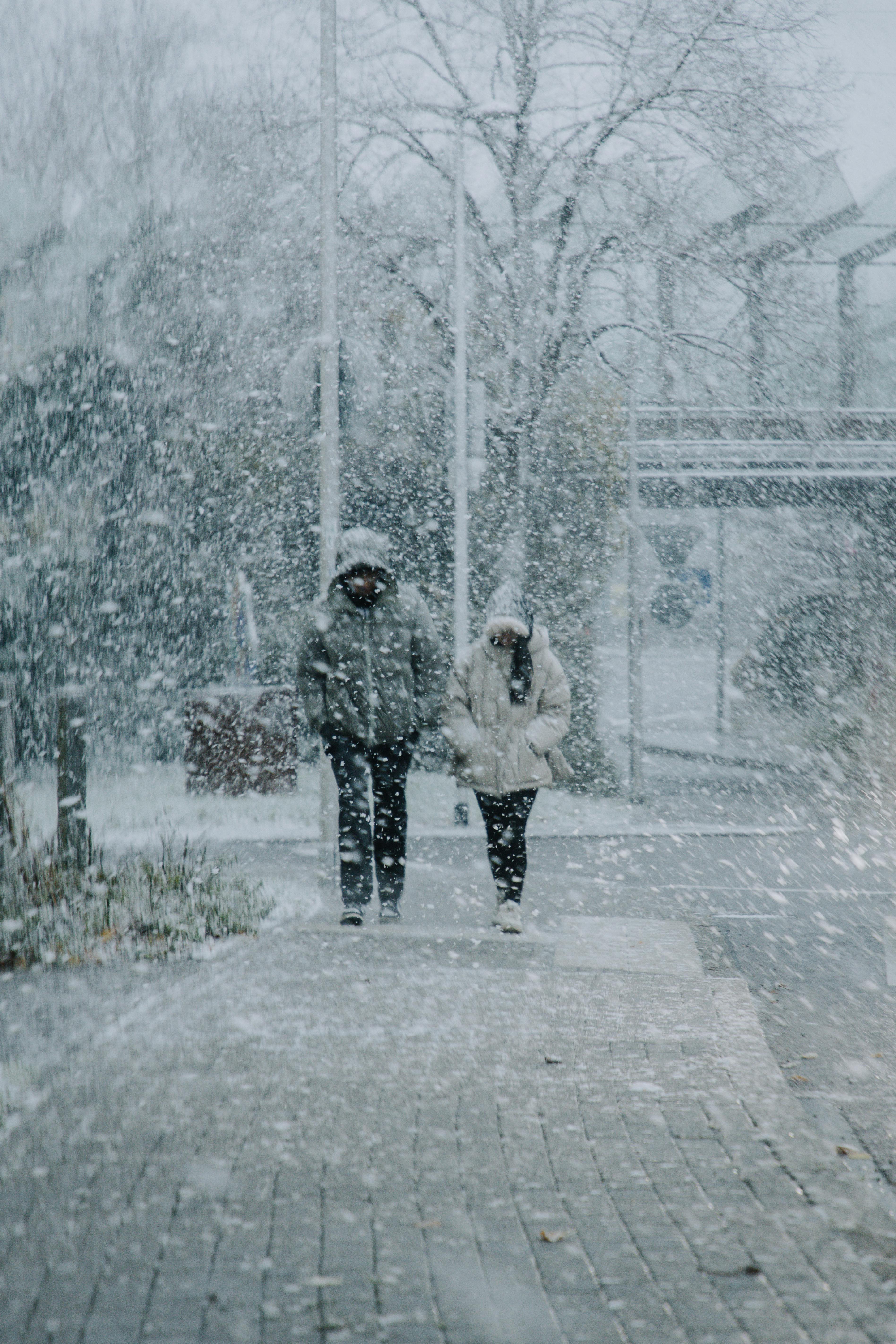 Rain of Snow in Town Painting · Free Stock Photo