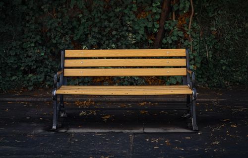 Free A solitary wooden park bench surrounded by lush greenery in a quiet park setting. Stock Photo