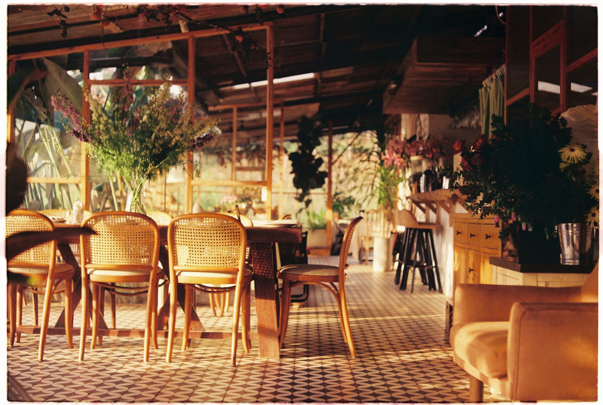 Warm cafe interior with elegant chairs and flowers bathed in natural light.