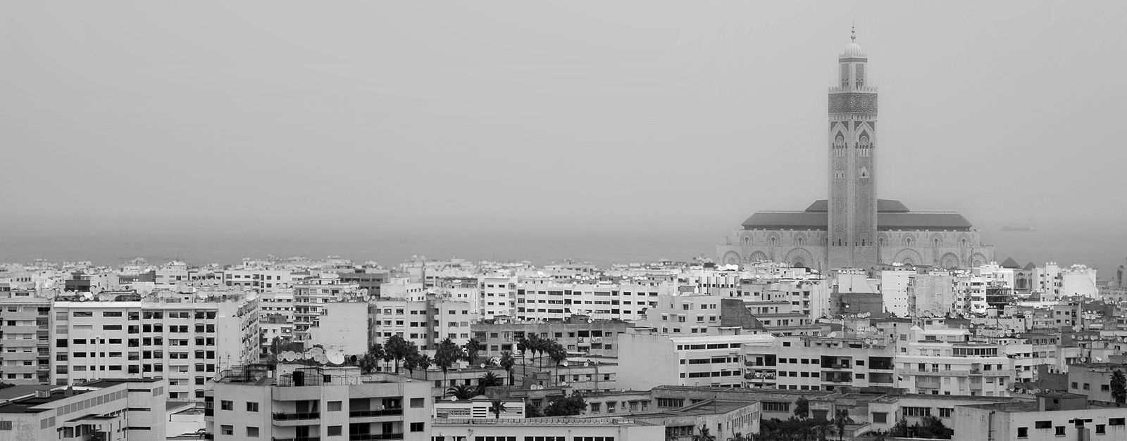 Aerial view of Casablanca highlighting the iconic Hassan II Mosque in black and white.