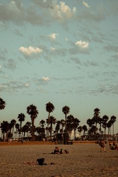 Palm trees and beachgoers under a serene sky, perfect for summer relaxation.