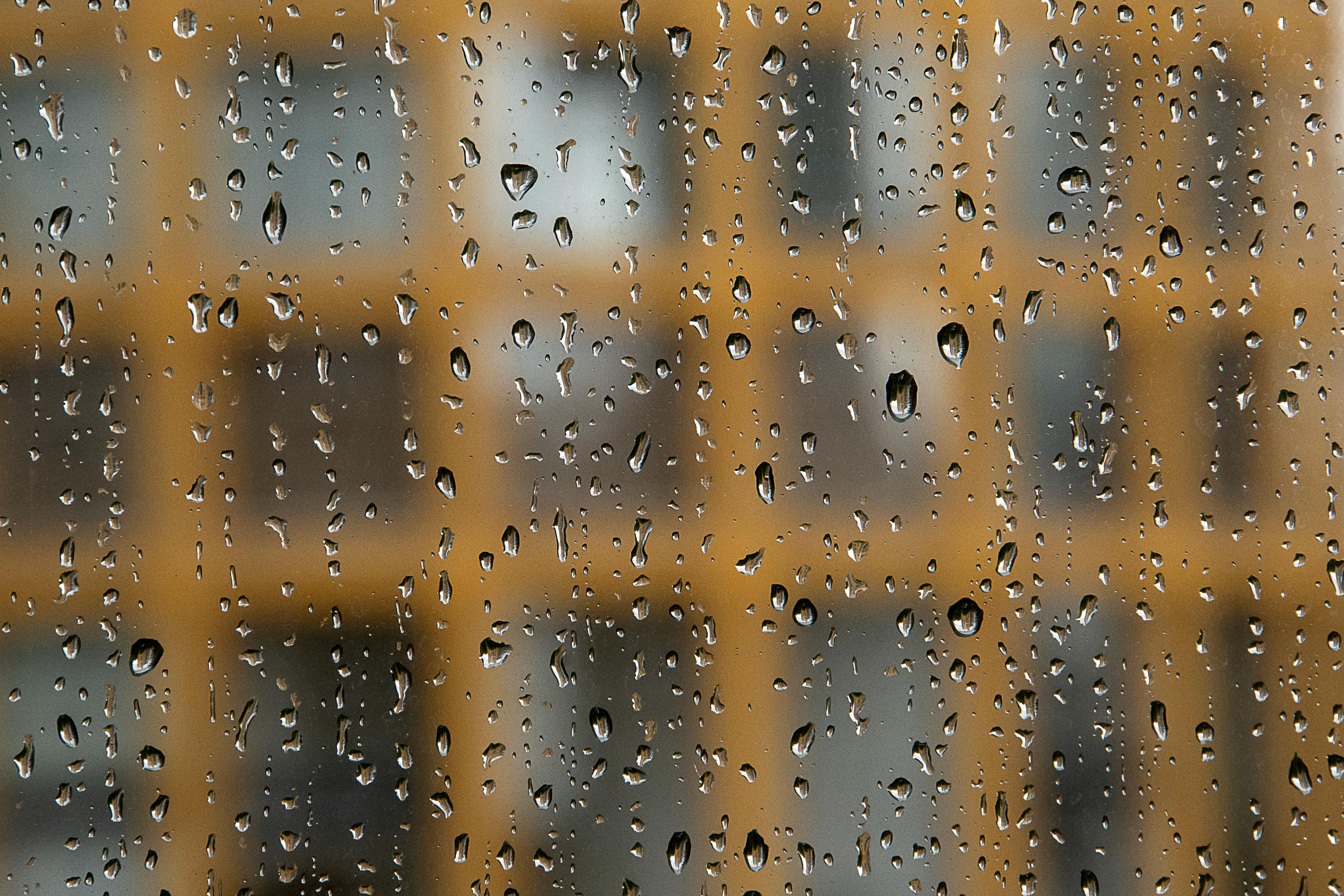 Water Mitigation service in Wylie, Texas — water mitigation and damage prevention
