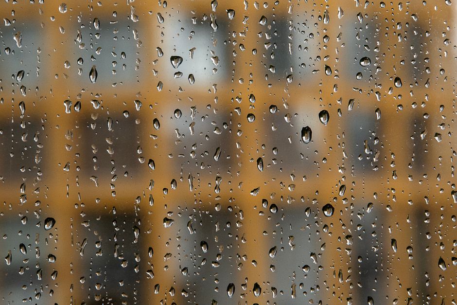 Water Mitigation service in Wylie, Texas — water mitigation and damage prevention