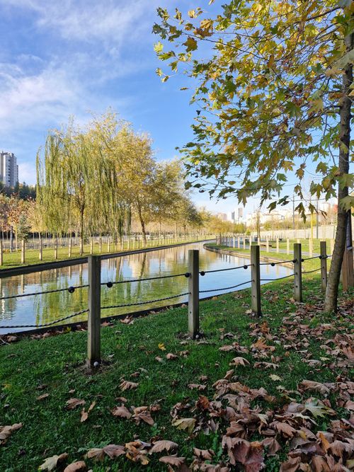 Free A tranquil park scene with autumn foliage and a reflecting pond under a blue sky. Stock Photo