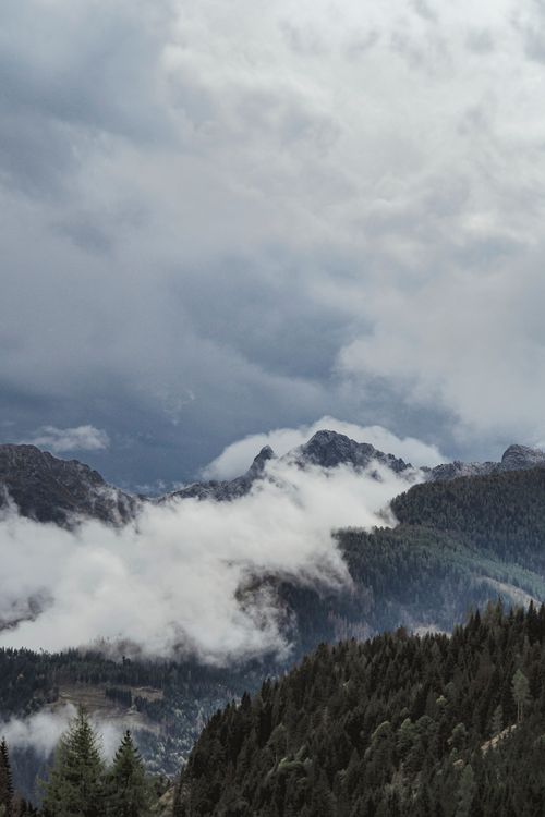 Free A breathtaking view of mountains enveloped in clouds with lush forest below. Stock Photo