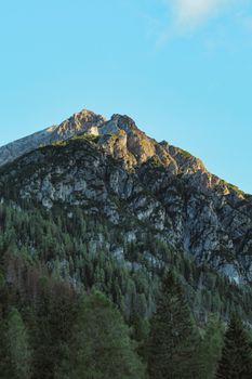 Sunlit mountain peak surrounded by dense forest, showcasing nature's serenity.