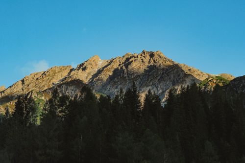 Free A stunning view of rugged mountains under a clear blue sky with a dense forest in the foreground. Stock Photo