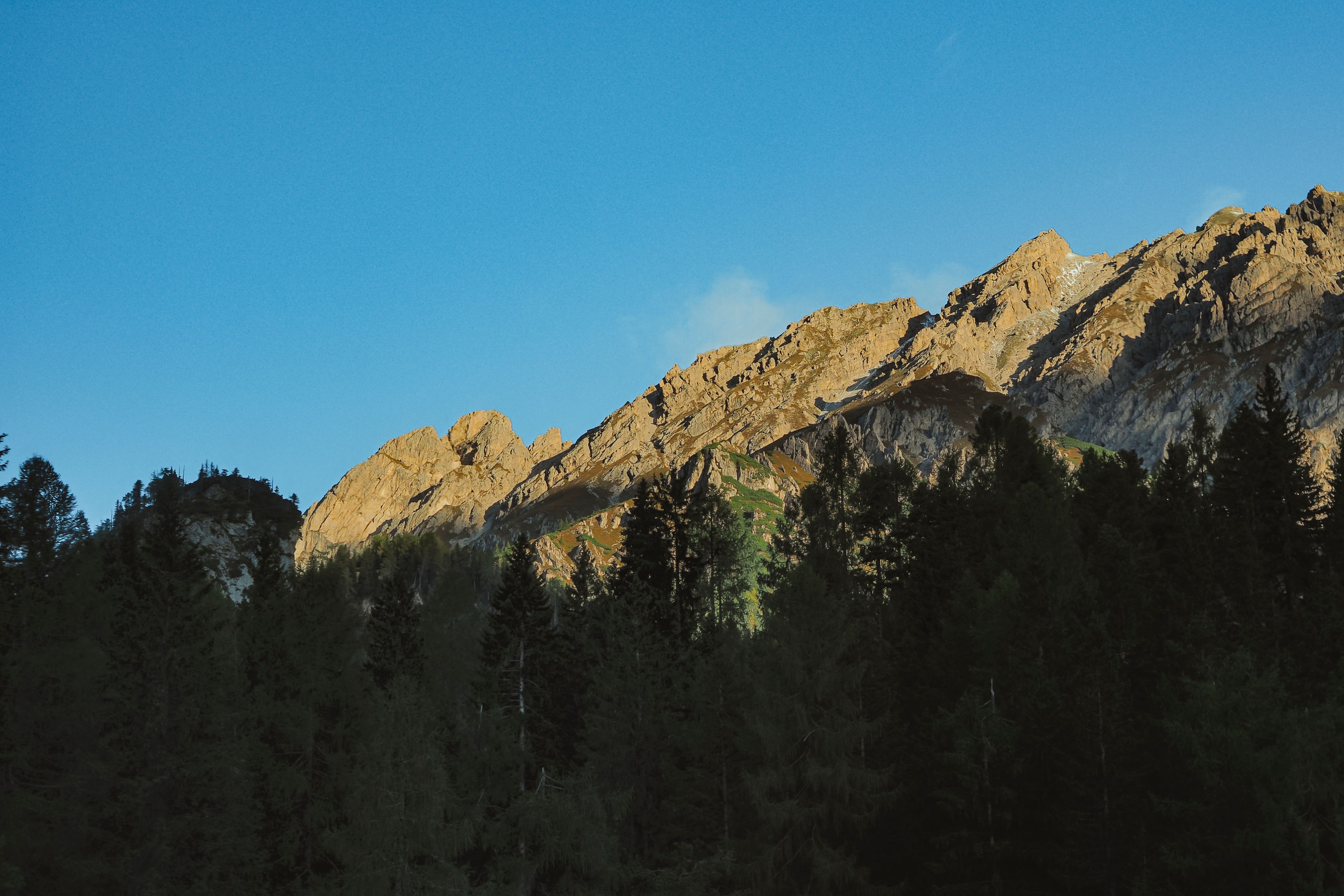 Majestic Mountain Ridge with Forest View · Free Stock Photo