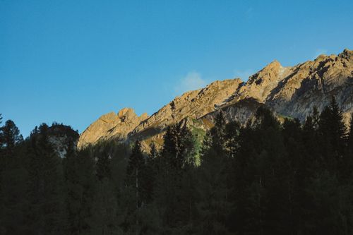 Free Sunlit mountain ridge with lush evergreen forest under clear blue sky. Stock Photo