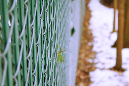 Free stock photo of fence, green, photography