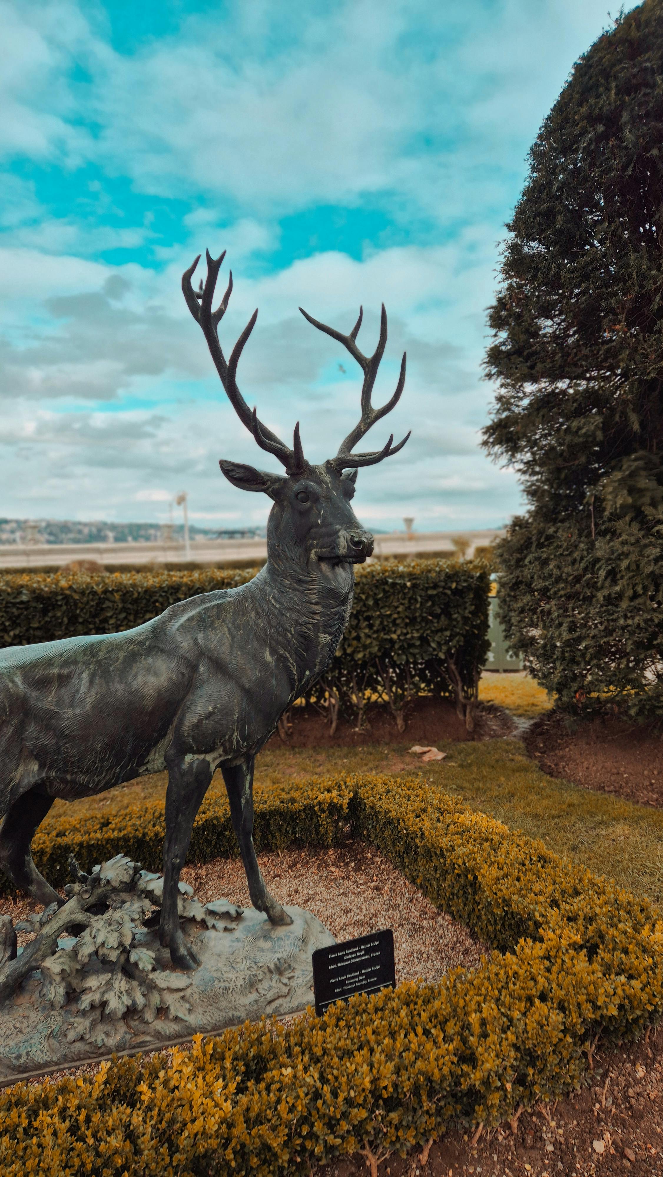 grátis Estátua majestosa de veado em um jardim lindamente paisagístico, oferecendo uma vista serena ao ar livre. Foto profissional