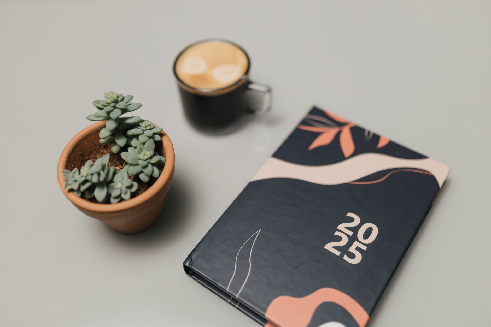 Stylish 2025 planner with a potted succulent and coffee, perfect for modern office aesthetics.