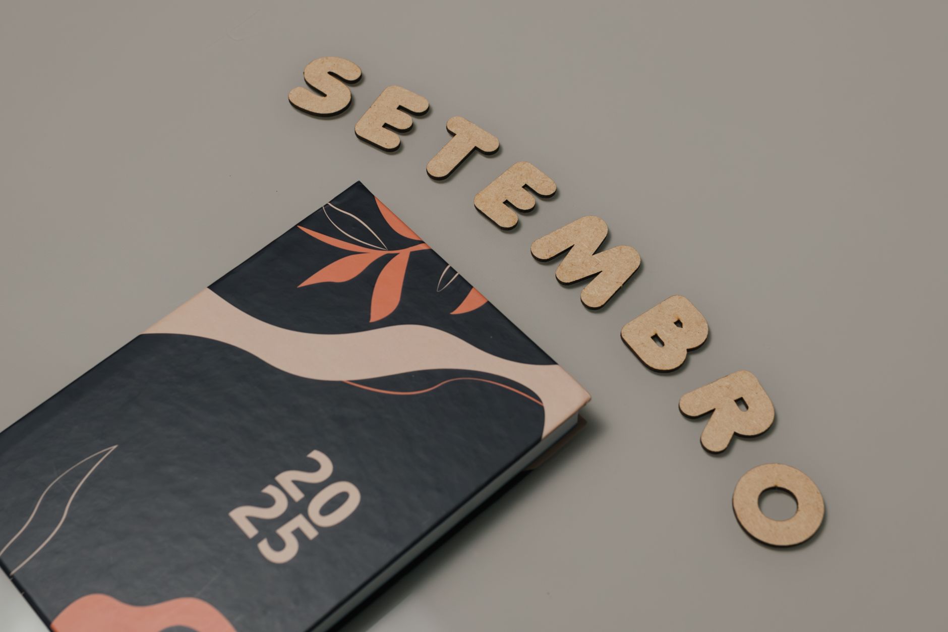 September with new proposals at the Contemporary Art Center of Coimbra