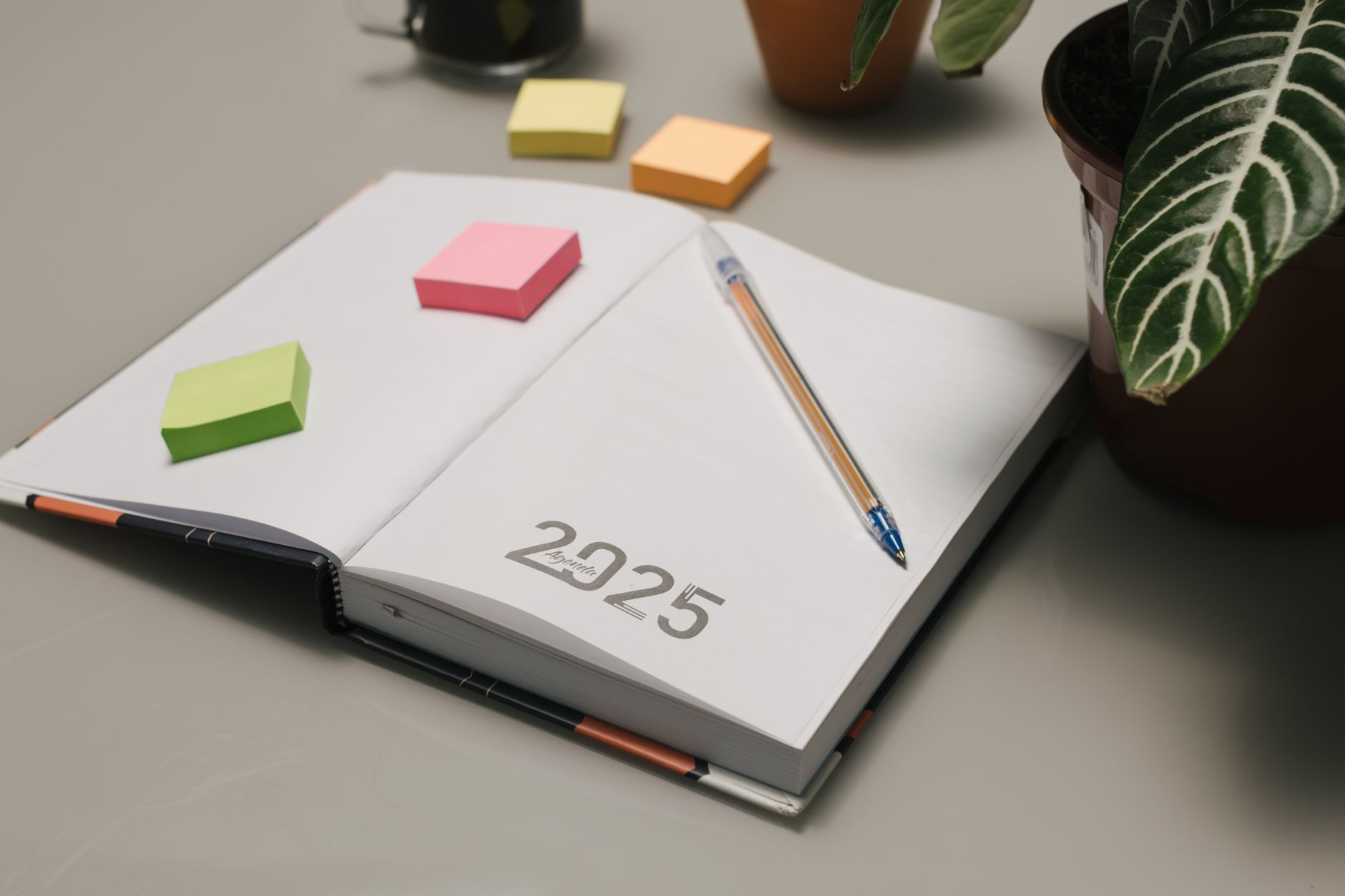 Open planner for 2025 with colorful sticky notes and plants on a desk.
