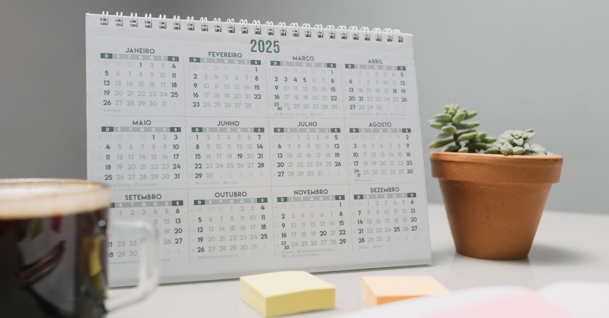 Date Création : Programmation Guide 2026