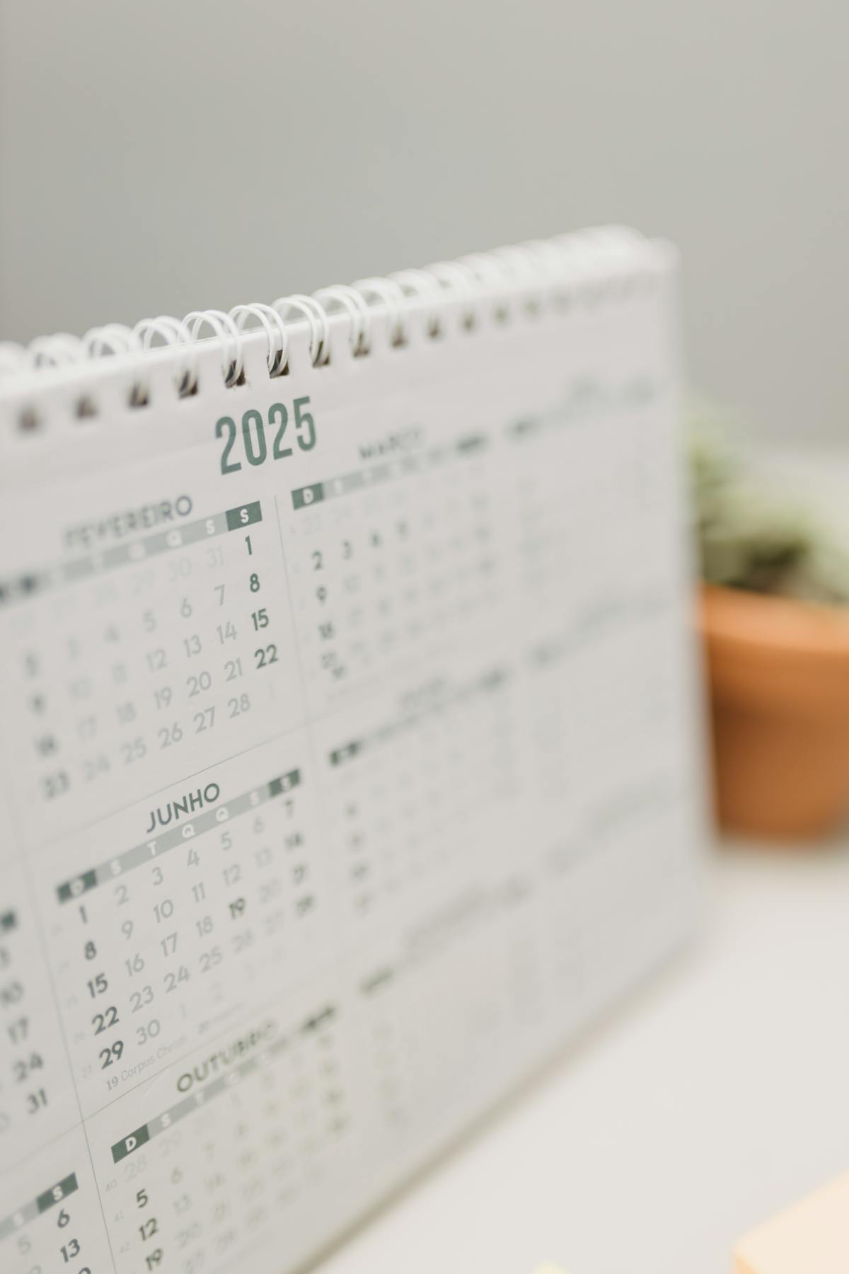 Calendar Of Nkwo Eke Orie Afor 2025 March Photos, Download The BEST