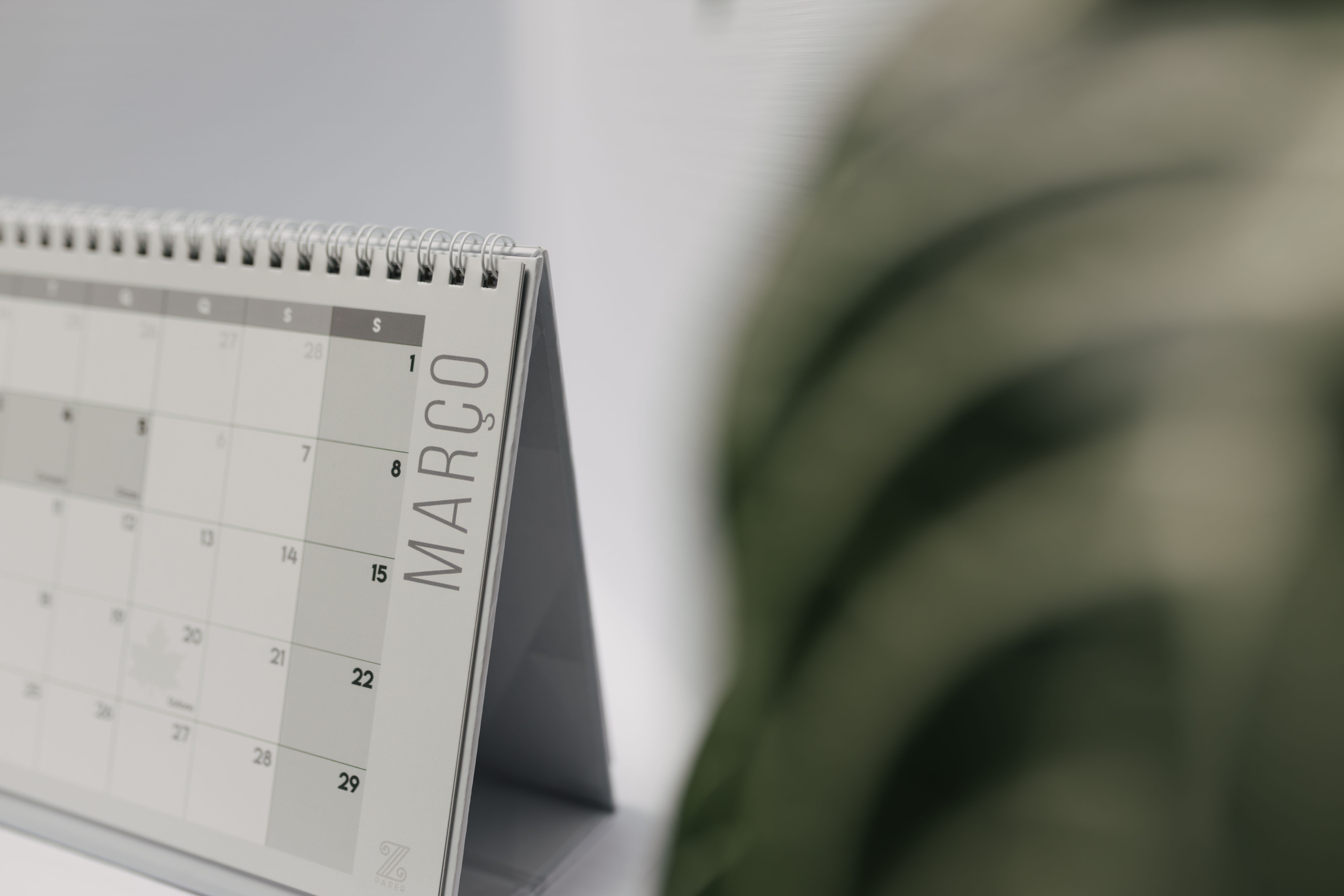 Simple Monthly Planner for Desktop (Printable PDF)