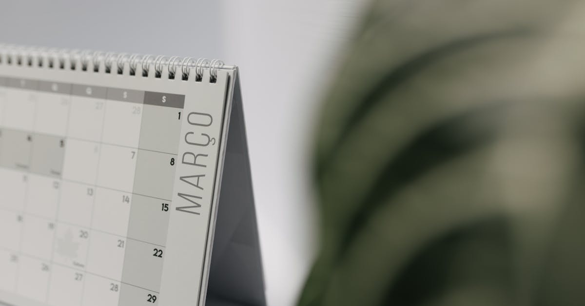 Household Routine With A Calendar And Spontaneous Activities