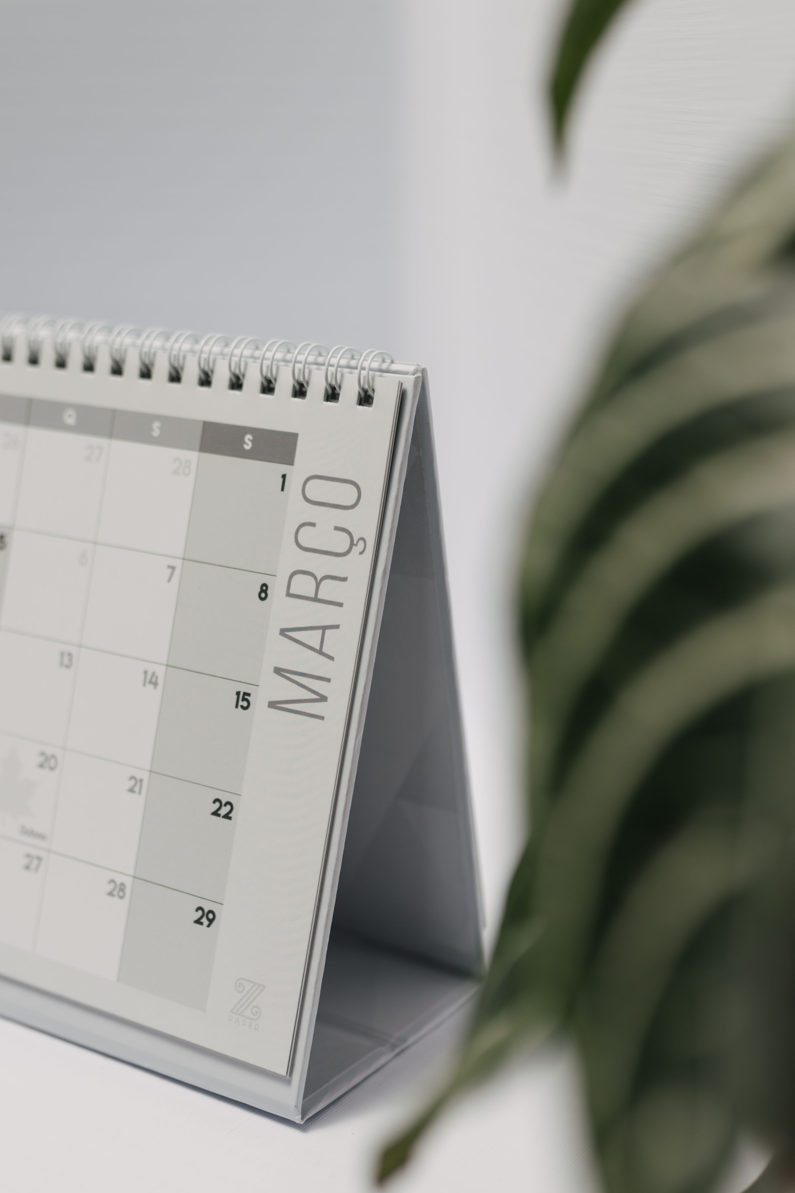 Desktop Monthly Schedule