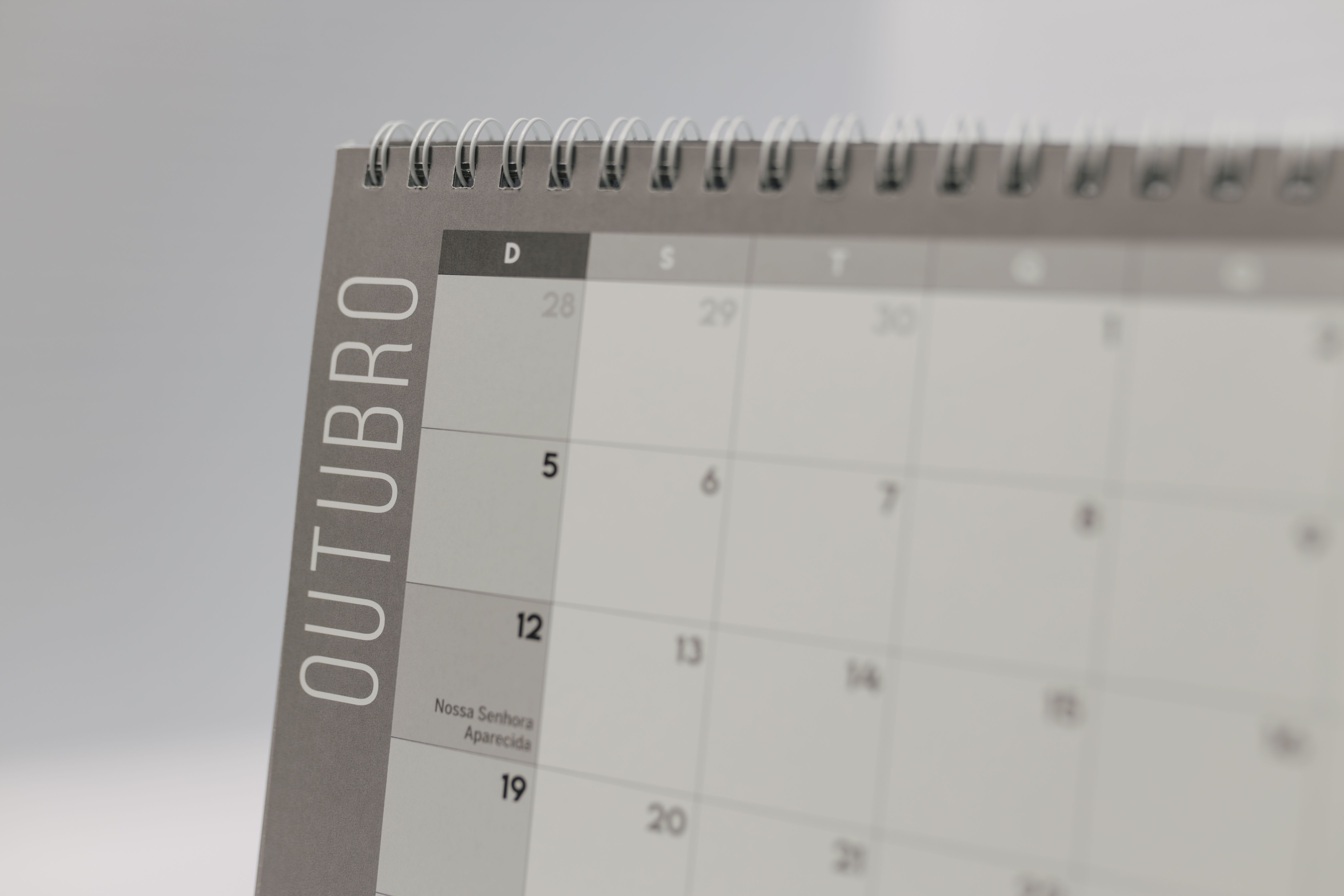 Monthly Calendar Planner for Desktop