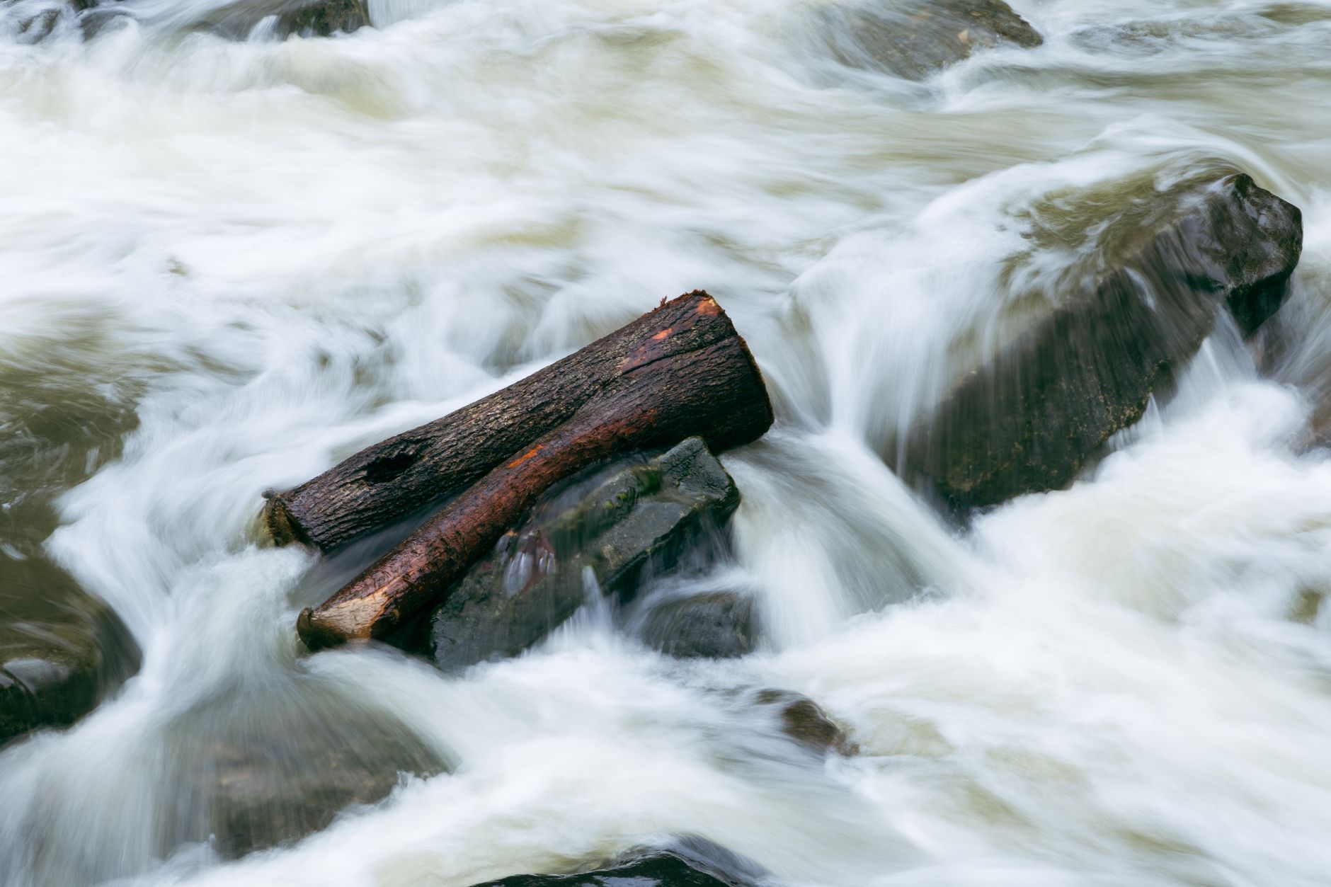 Canot de rivière
