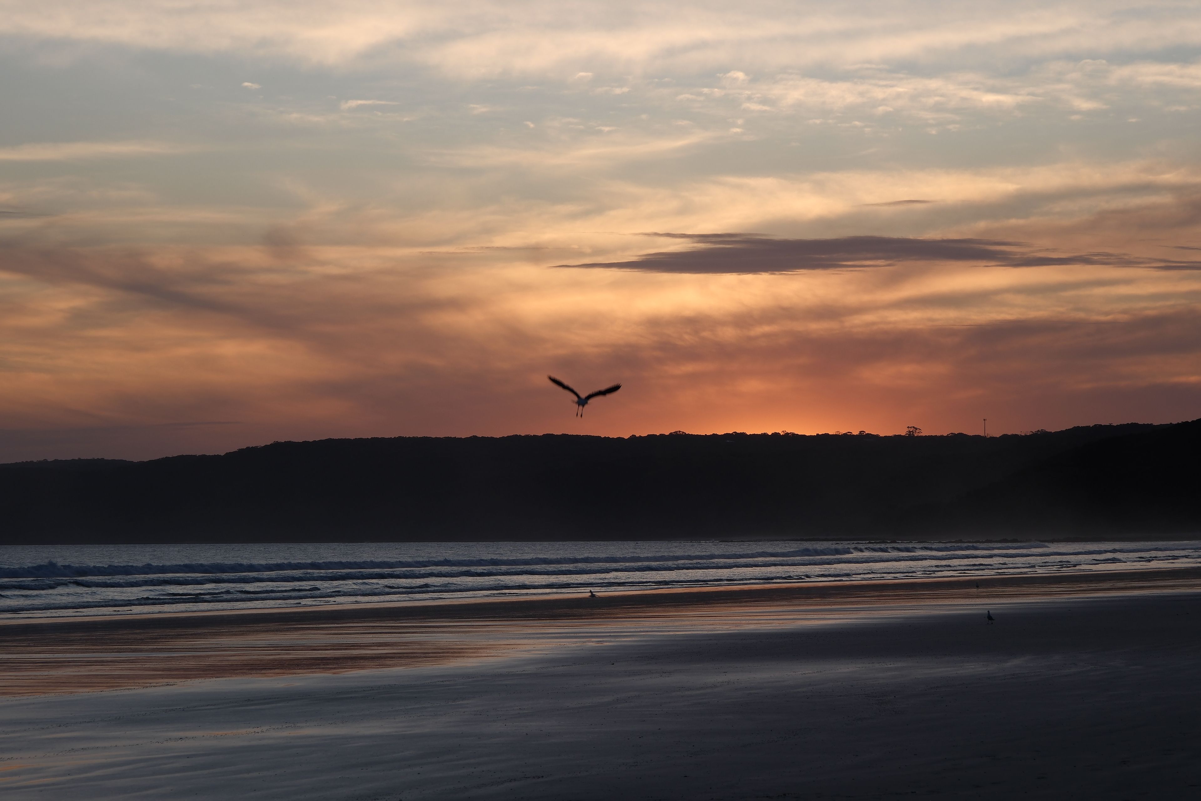 Serene Sunset Over Waves With Bird Silhouette · Free Stock Photo