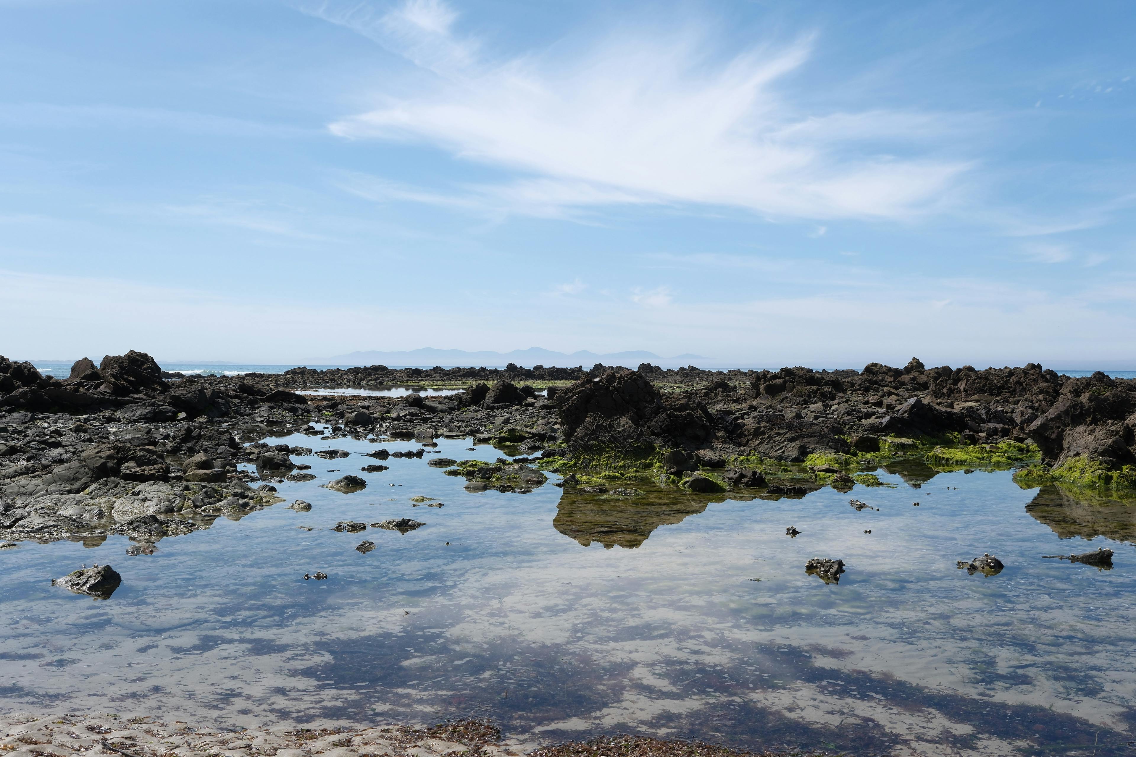 scenic tidal pool and rugged coastline