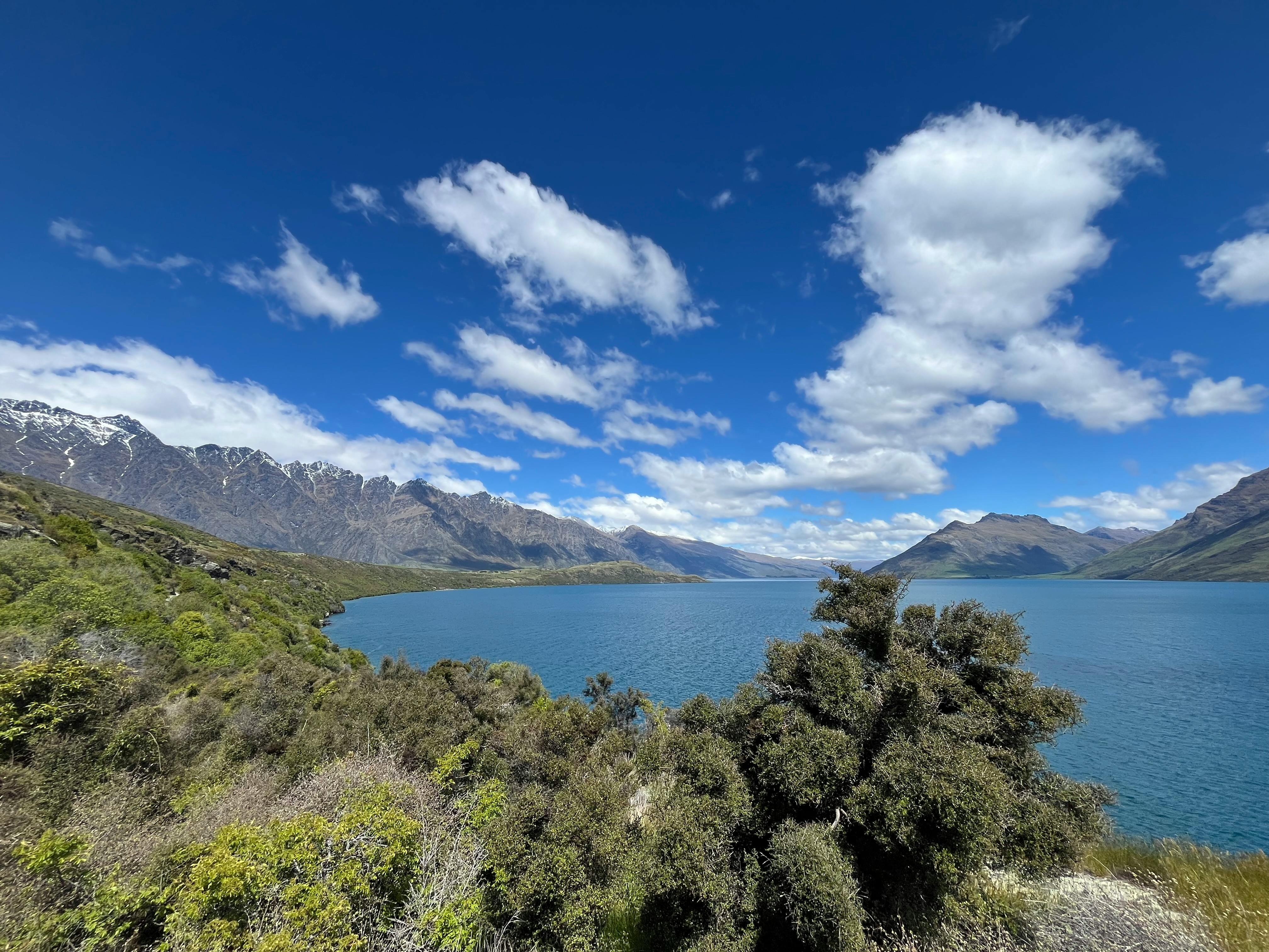 General Travel New Zealand concludes 5-city India roadshow to NZ tourism — Photo by Relaxing Journeys on Pexels