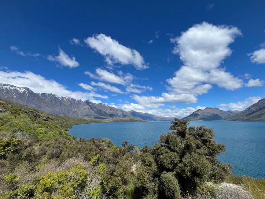 Unbeatable Queenstown: The Grand Circle Scenic Helicopter Flight Review Review 2026 - Breathtaking view of Lake Wakatipu surrounded by majestic mountains on a clear summer day.
