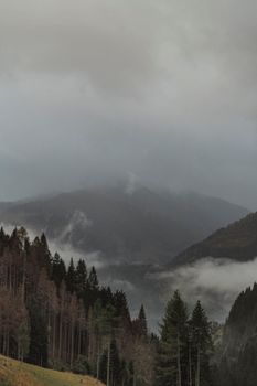 Serene view of misty mountains and autumn forest in Italy, perfect for travel inspiration.