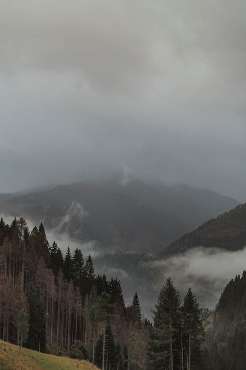 Free Serene view of misty mountains and autumn forest in Italy, perfect for travel inspiration. Stock Photo