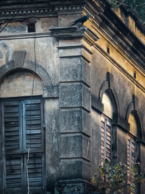 Free An aged building facade with weathered shutters and crow perched atop, showcasing vintage architecture. Stock Photo