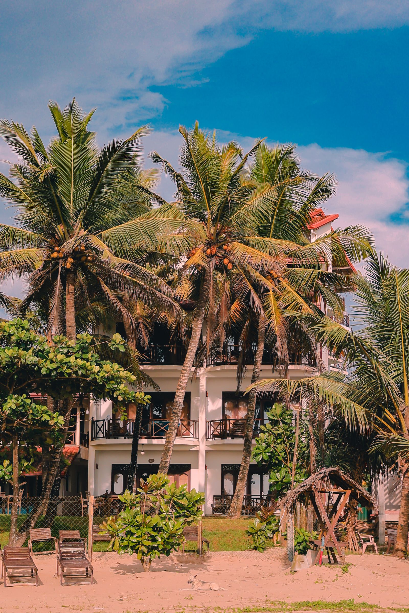 Picture of Luxury Tropical Island Resort Photos, Download The BEST Free Luxury ...