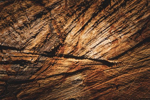 Detailed view of rugged wood textures with warm earthy tones, highlighting natural patterns.