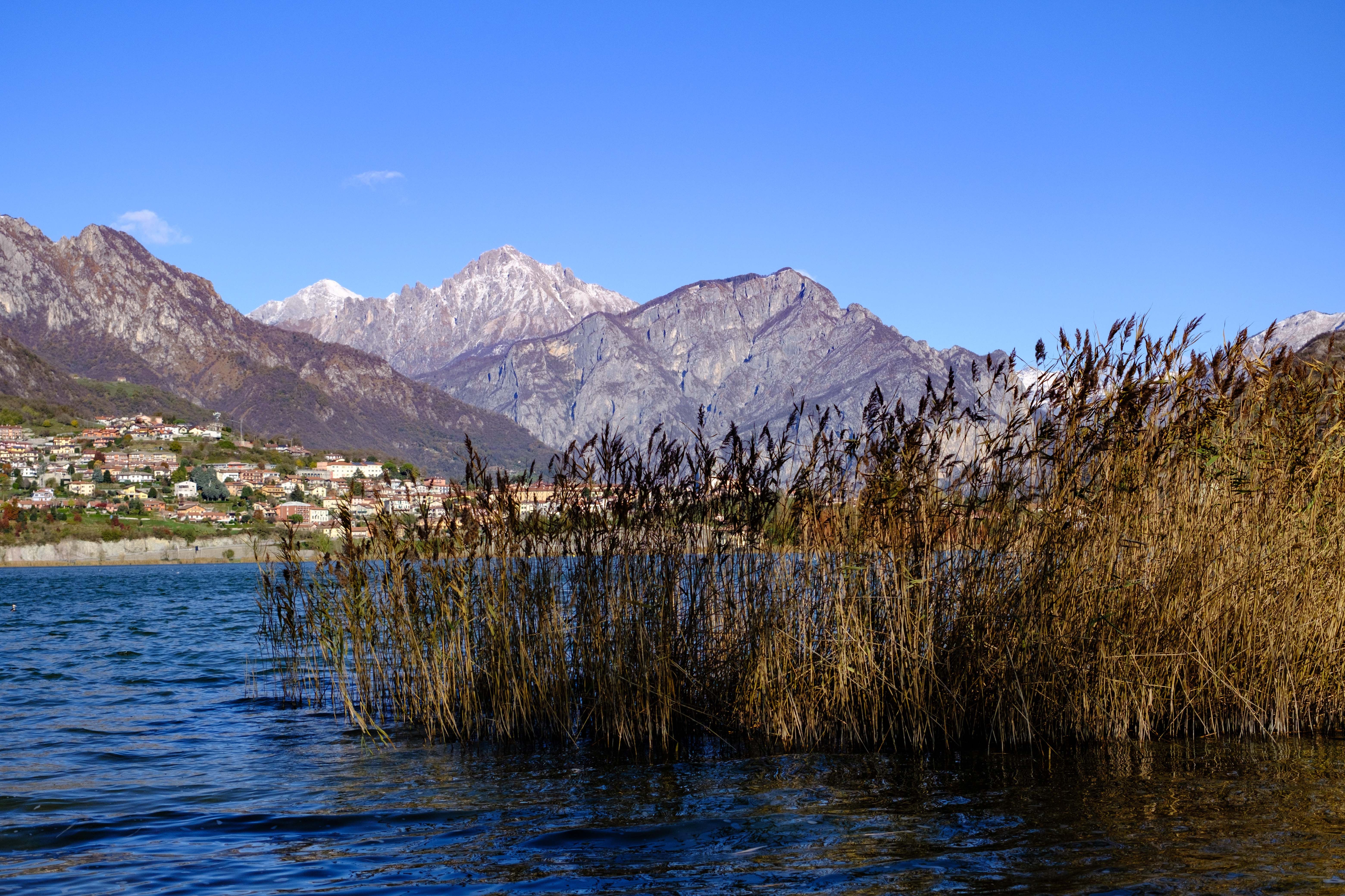 Scenic Lake View with Majestic Mountain Backdrop · Free Stock Photo